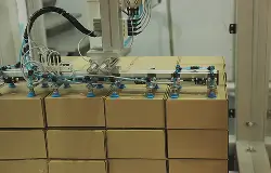 Automated Packaging Systems