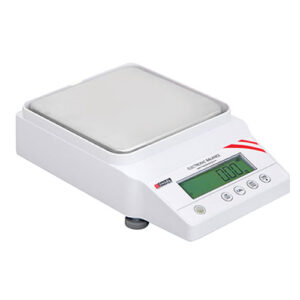 Endel Electronic Weighing Scale for Precision Measurement