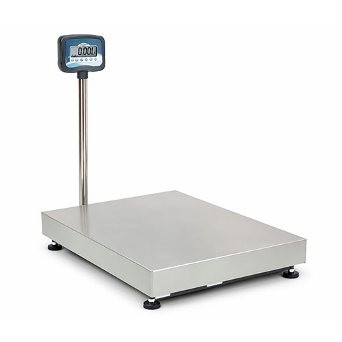 Baxtron Platform Scale 500–3000kg for Heavy-Duty Weighing